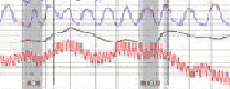 polygraph test in Tucson